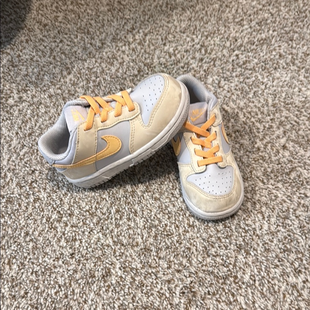 Toddler Nike Dunk Low